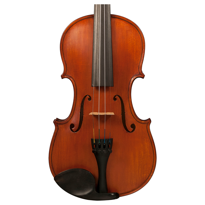 GVC KCC R31VM VIOLIN