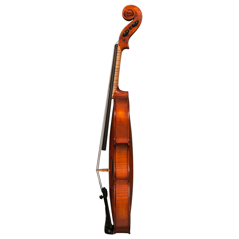 GVC KCC R31VM VIOLIN