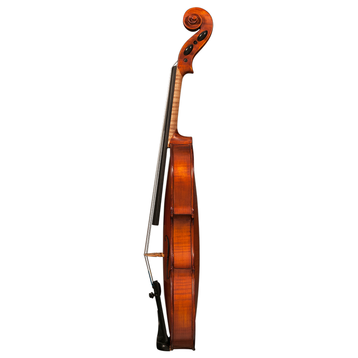 GVC KCC R31VM VIOLIN