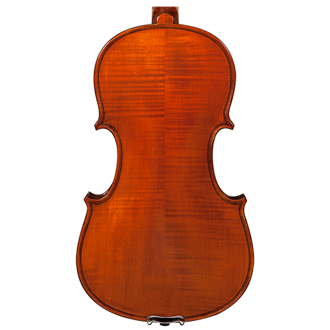 GVC KCC R31VM VIOLIN