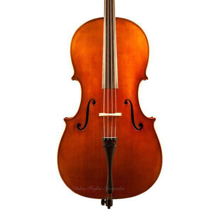 Scott Cao STC-017(E) Cello