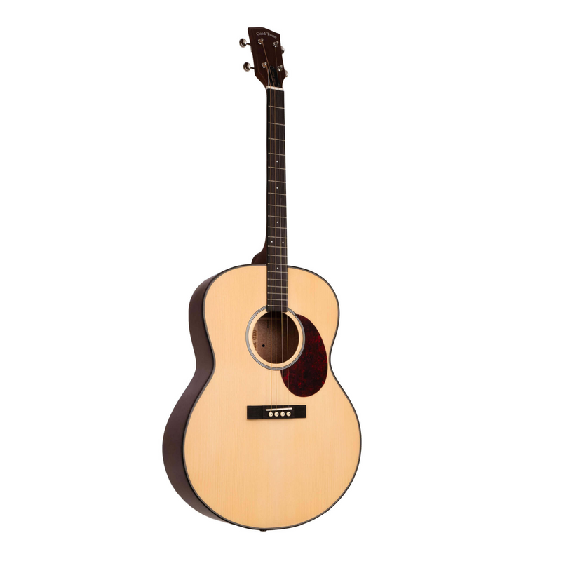Gold Tone TG-10: Tenor Guitar with Gig Bag