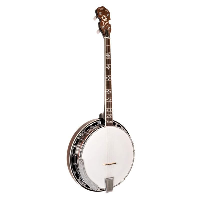 Gold Tone TS-250: Tenor Special Banjo with Case