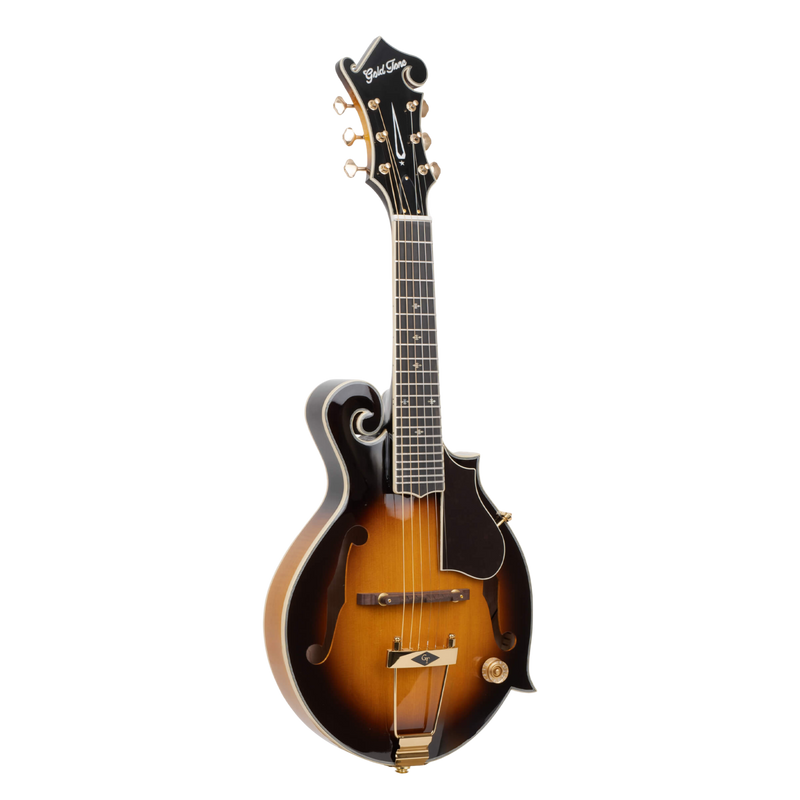 Gold Tone F-6+: F-style Mando-Guitar with Pickup, Volume Control, and Case