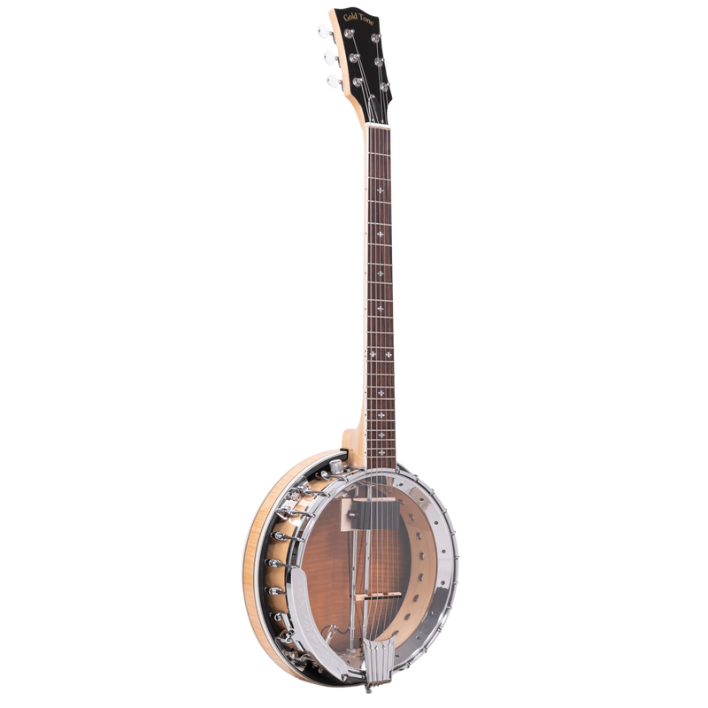 Gold Tone GT-750: Banjitar Deluxe with Case