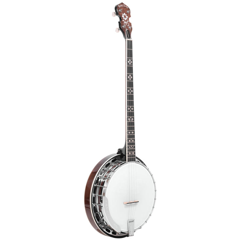 Gold Tone PS-250: Plectrum Special Banjo with Case