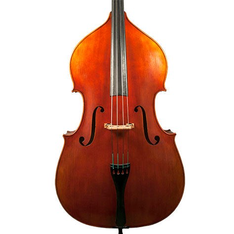 GVC NICOLAS PAROLA VB15E BASS