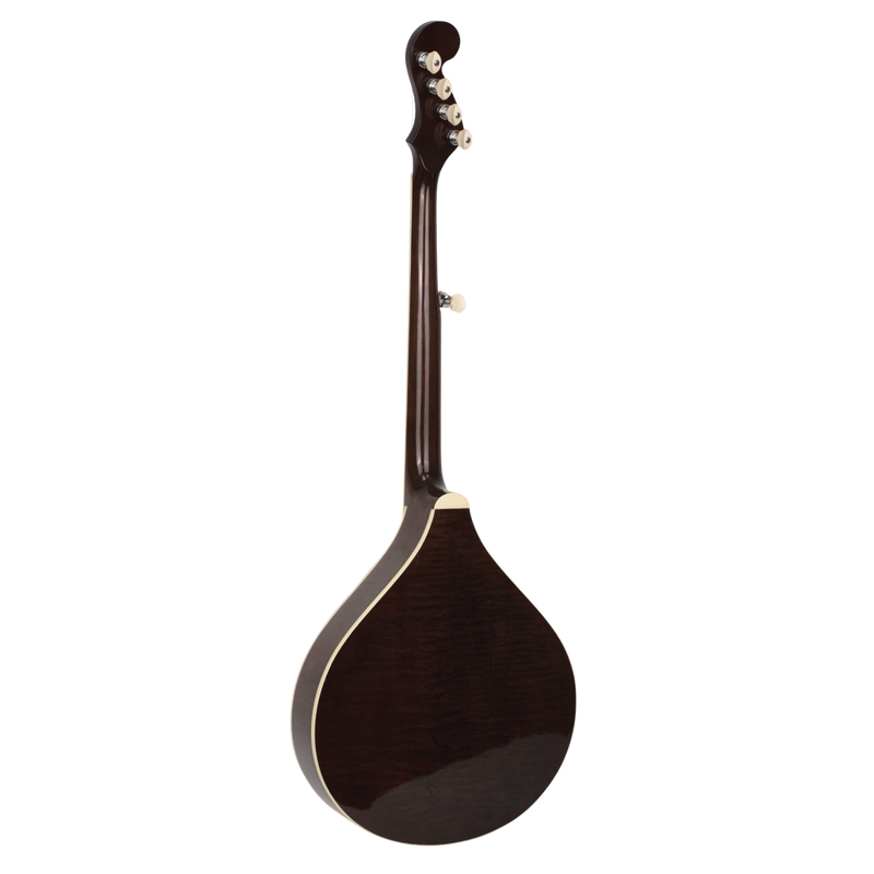 Gold Tone Banjola+: Woodbody Banjo with Pickup and Bag