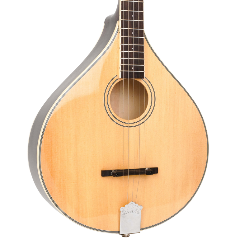 Gold Tone Banjola+: Woodbody Banjo with Pickup and Bag