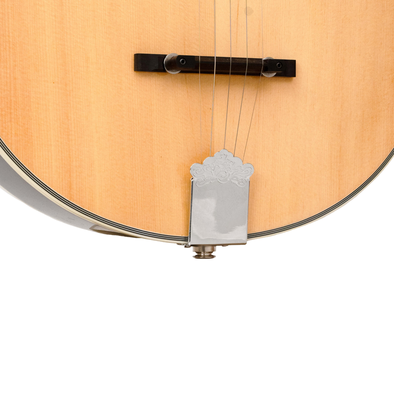 Gold Tone Banjola+: Woodbody Banjo with Pickup and Bag