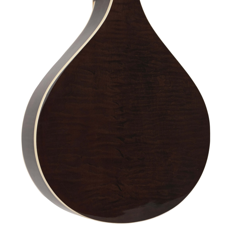 Gold Tone Banjola+: Woodbody Banjo with Pickup and Bag
