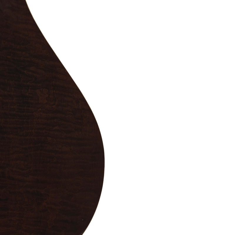 Gold Tone Banjola+: Woodbody Banjo with Pickup and Bag