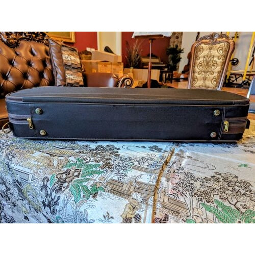 Scott Cao Oblong - Foam Viola Case