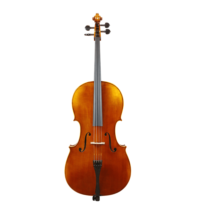 Scott Cao STC-600 Cello