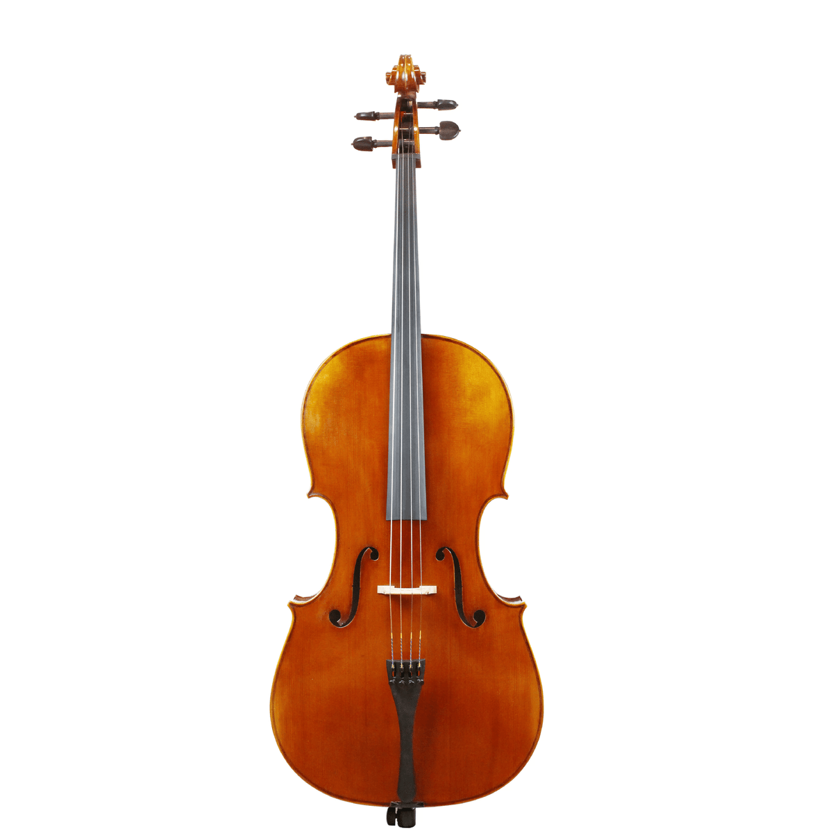 Scott Cao STC-750(E) Cello — Musical Strings USA