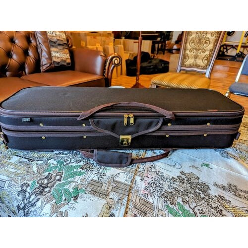 Scott Cao Oblong - Foam Violin Case