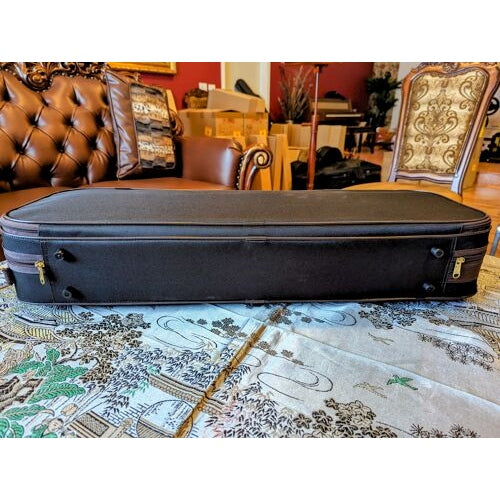 Scott Cao Oblong - Foam Violin Case